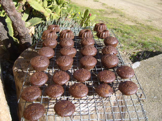 338 madalenes de garrofa i espelta.JPG